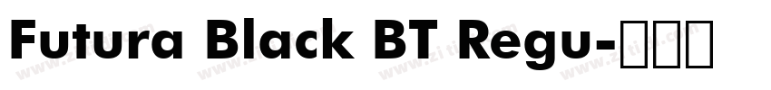 Futura Black BT Regu字体转换